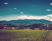 手机号自动轰炸